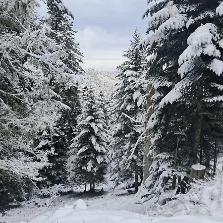 Au Pied Des Pistes *