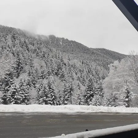 Au Pied Des Pistes